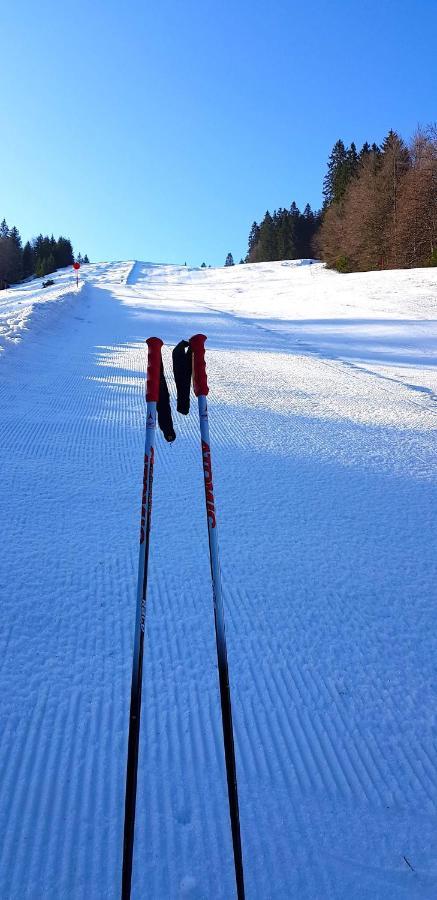 Apartament Residenz Grafenmatt Feldberg Feldberg  Zewnętrze zdjęcie